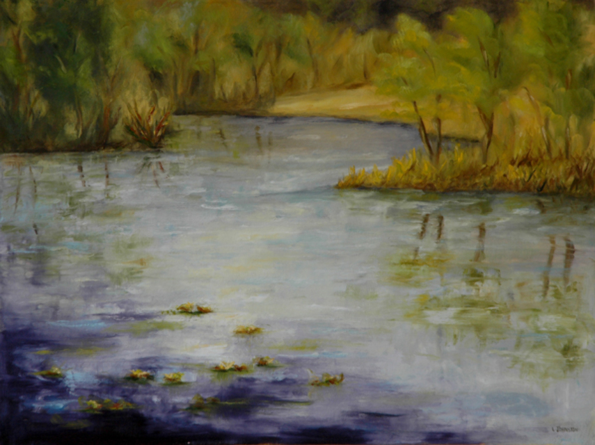 Calm Waters