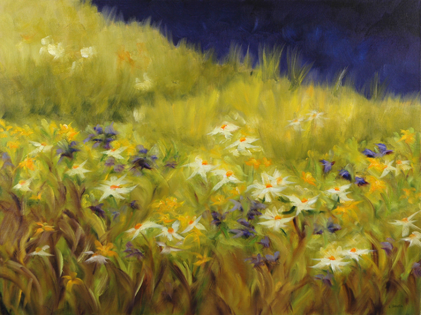 Dreaming of Daisies