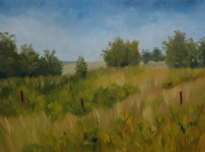 Forgotten Pastures