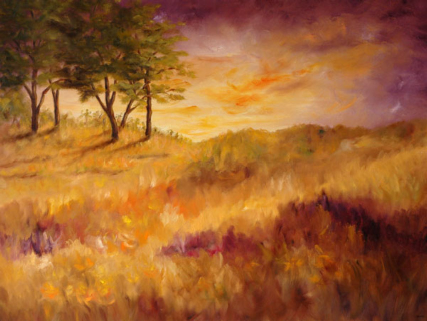 Lavender Sunset
