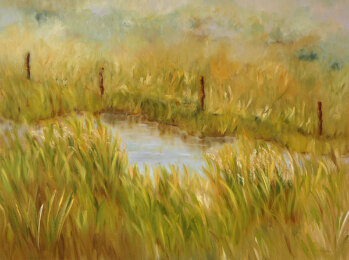 Summer Grasses